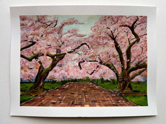 The Quad cherry blossoms painting – original watercolor by Carrie Scroggins