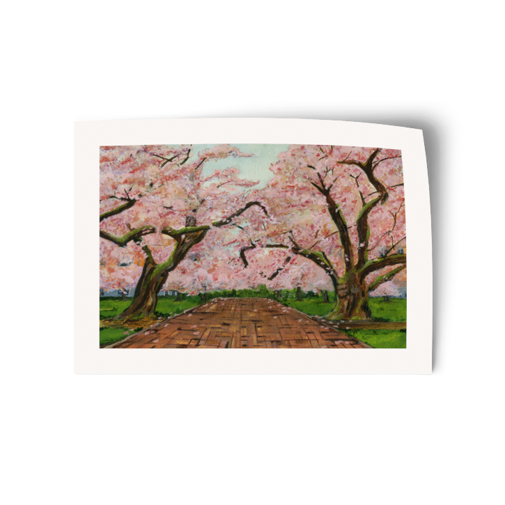 The Quad | Watercolor Vinyl Sticker